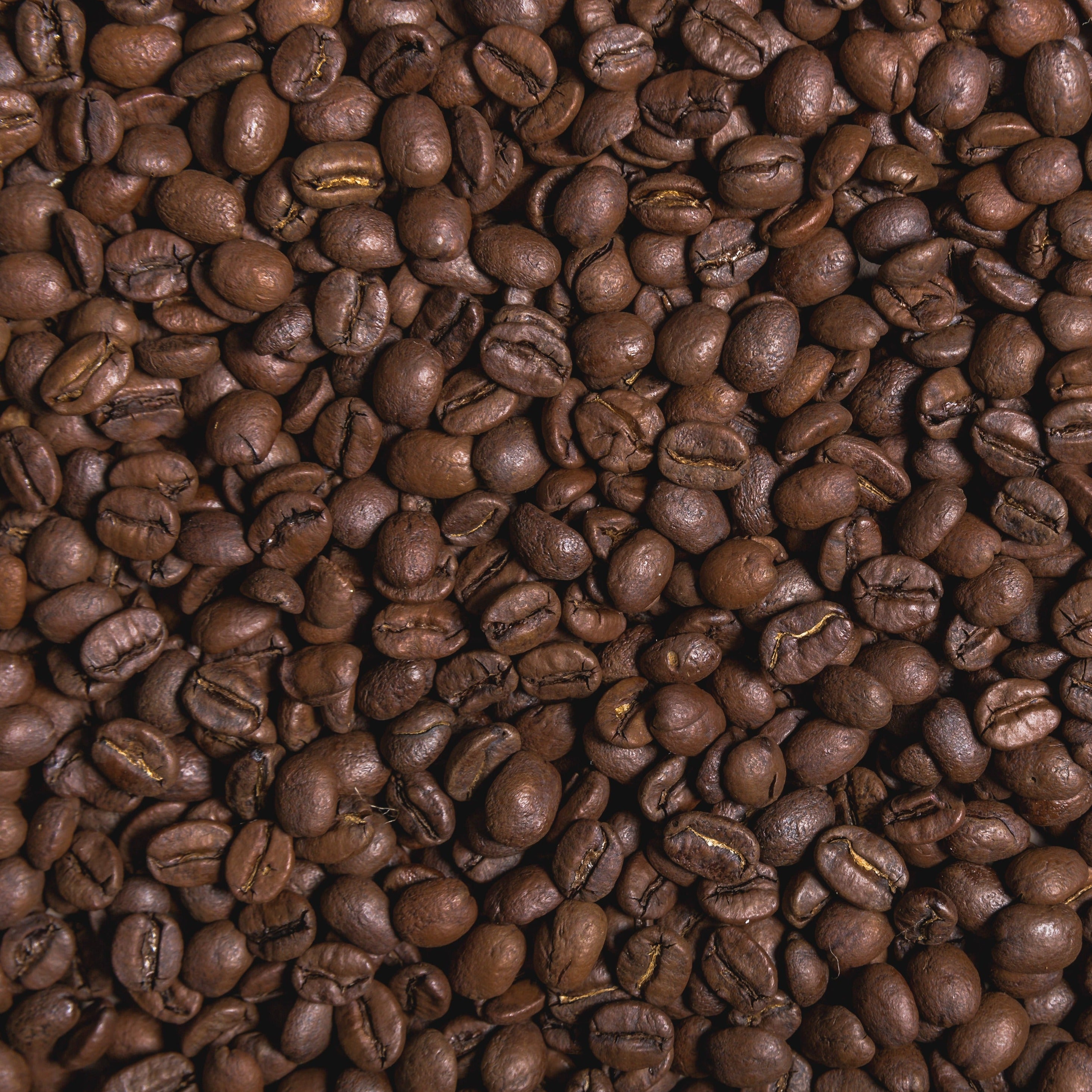 Freshly roasted coffee beans